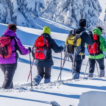 groupe en journée raquettes à la neige
